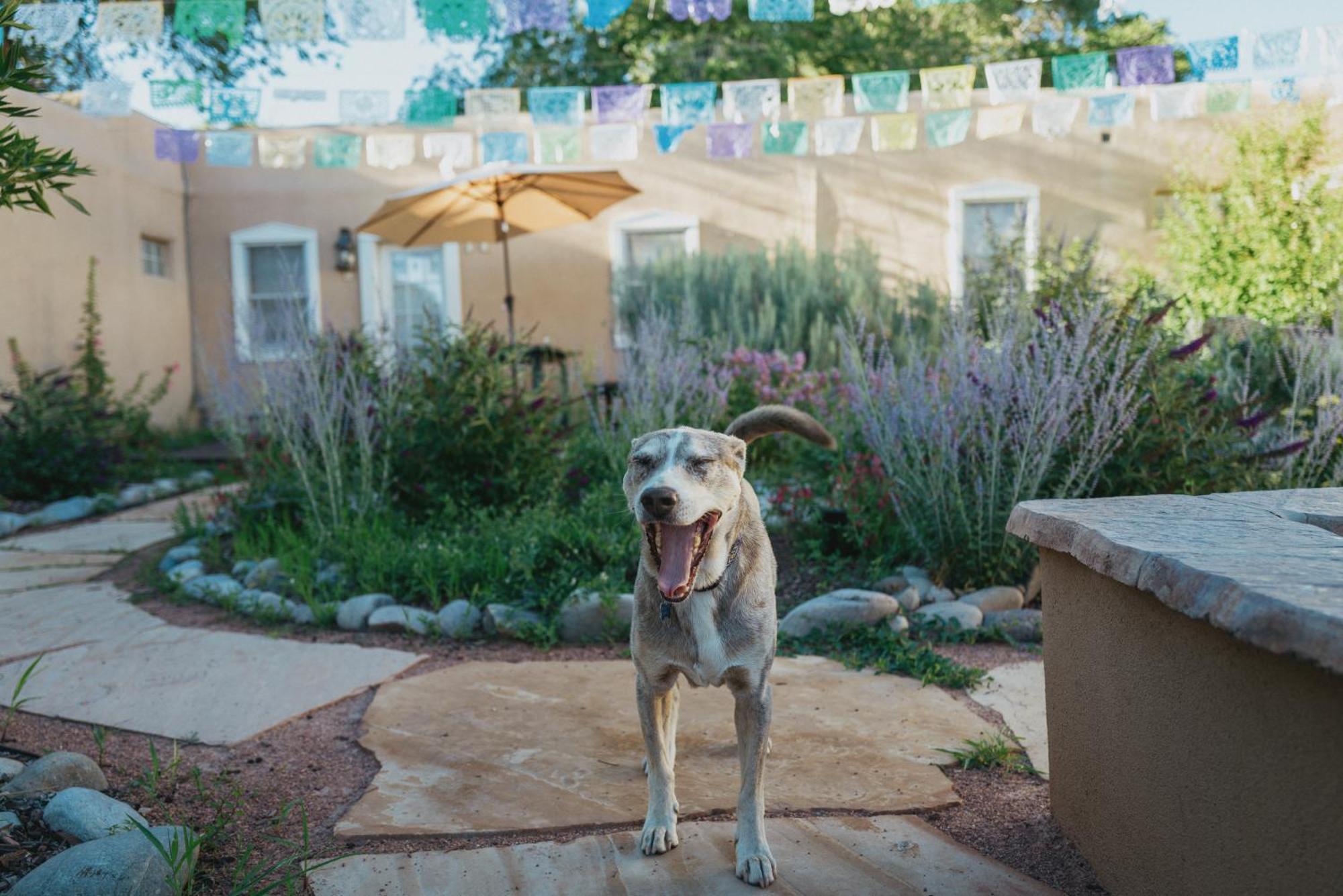 Dos Hermanas Casita 4 & 5 Downtown Courtyard Holiday home